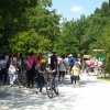 Biciclettata_2014